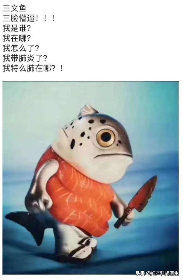 三文鱼孕妇晚期能吃吗,三文鱼孕妇真的不能吃吗