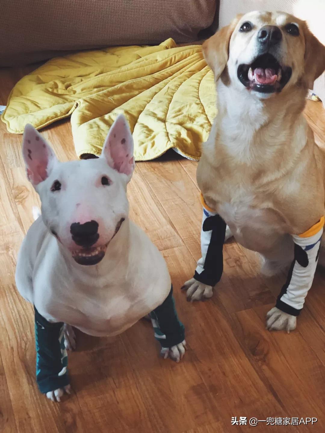 瀹跺眳鏀剁撼濂界墿鎺ㄨ崘鐪侀挶,瀹跺眳鏀剁撼濂界墿鎺ㄨ崘鍓嶅崄