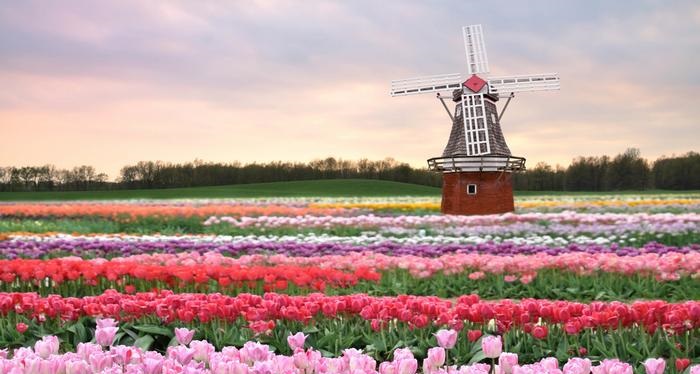 荷兰新开发出的农耕技术,能喂饱全世界96亿人吗?