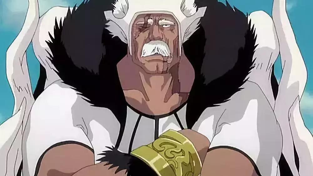 死神bleach十刃出场音乐,死神bleach十刃前身是虚吗