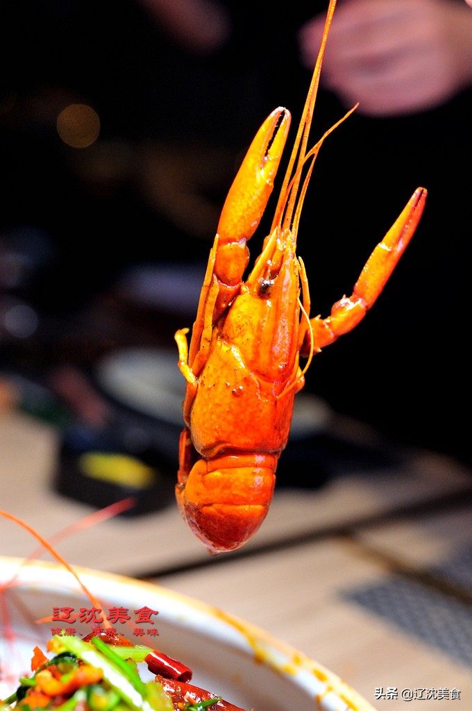 沈阳首家米其林三星级厨房,沈阳米其林推荐三星餐厅