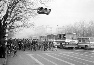 凤凰飞鸽永久自行车为啥那么便宜,怎么区别凤凰飞鸽永久自行车