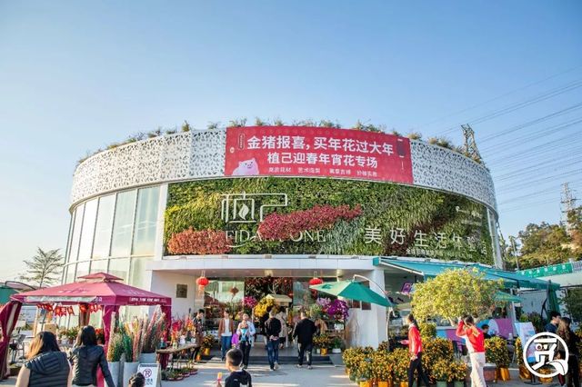 深圳花店有什么花,深圳龙华花店订花送花