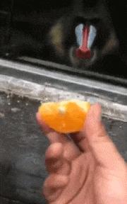 开心一刻gif搞笑动图,搞笑gif段子看起来能量满满