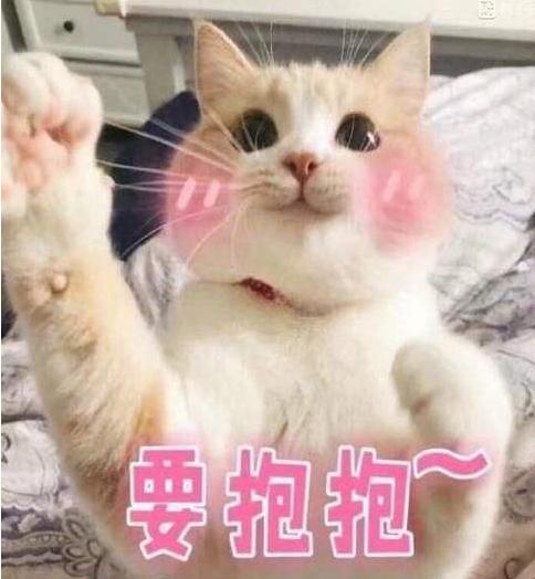 养猫的铲屎官一定要注意除癣,准备养猫的人看的视频