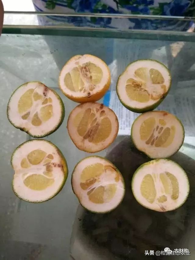 10类常见虫害高清图谱含防治方案,20种病虫害防治集合