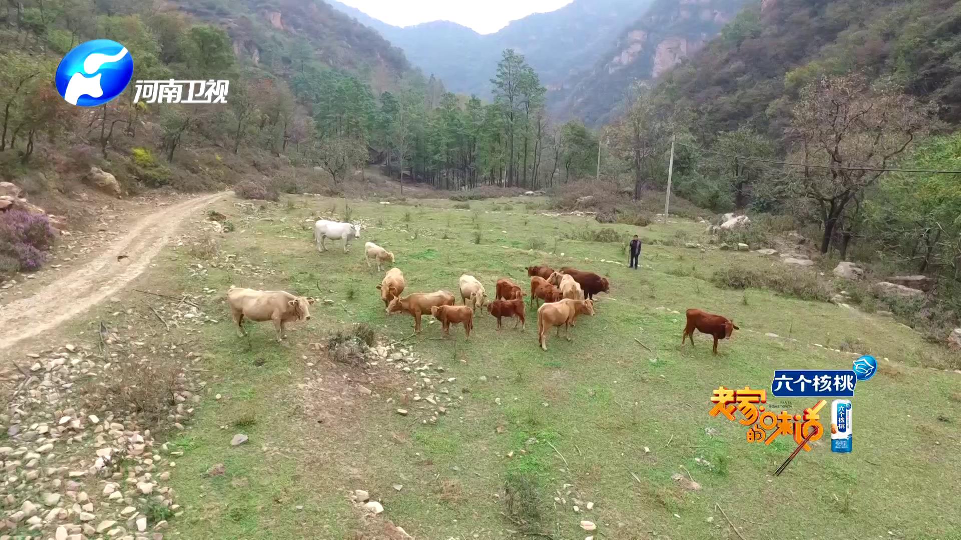 如何熬出好喝的牛肉汤,如何做纯正美味的牛肉汤