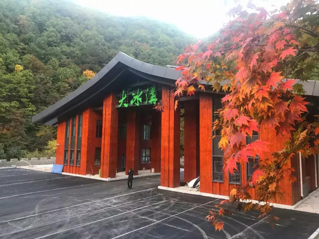 秋天来本溪赏枫叶,醉美枫叶季