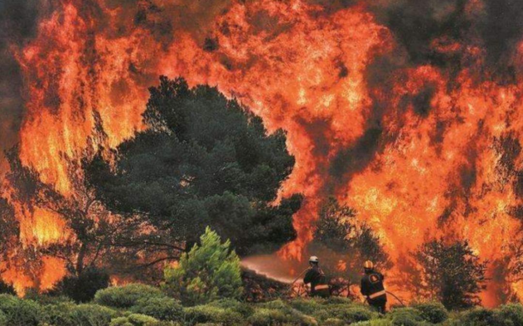 是你们说的全程高潮,但结局我想骂街