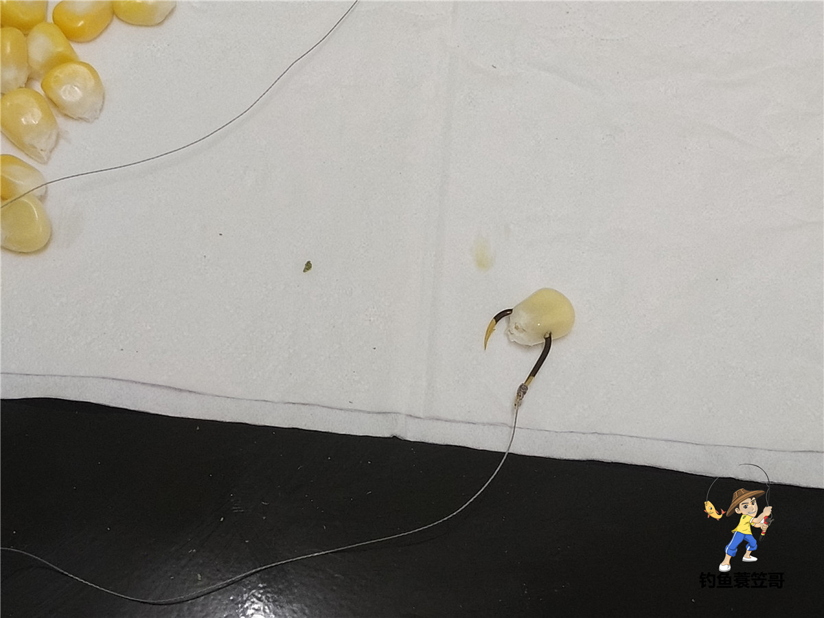 单杆单钩钓鱼可以在禁钓区钓鱼吗,禁钓期一竿一线一钩可钓鱼吗