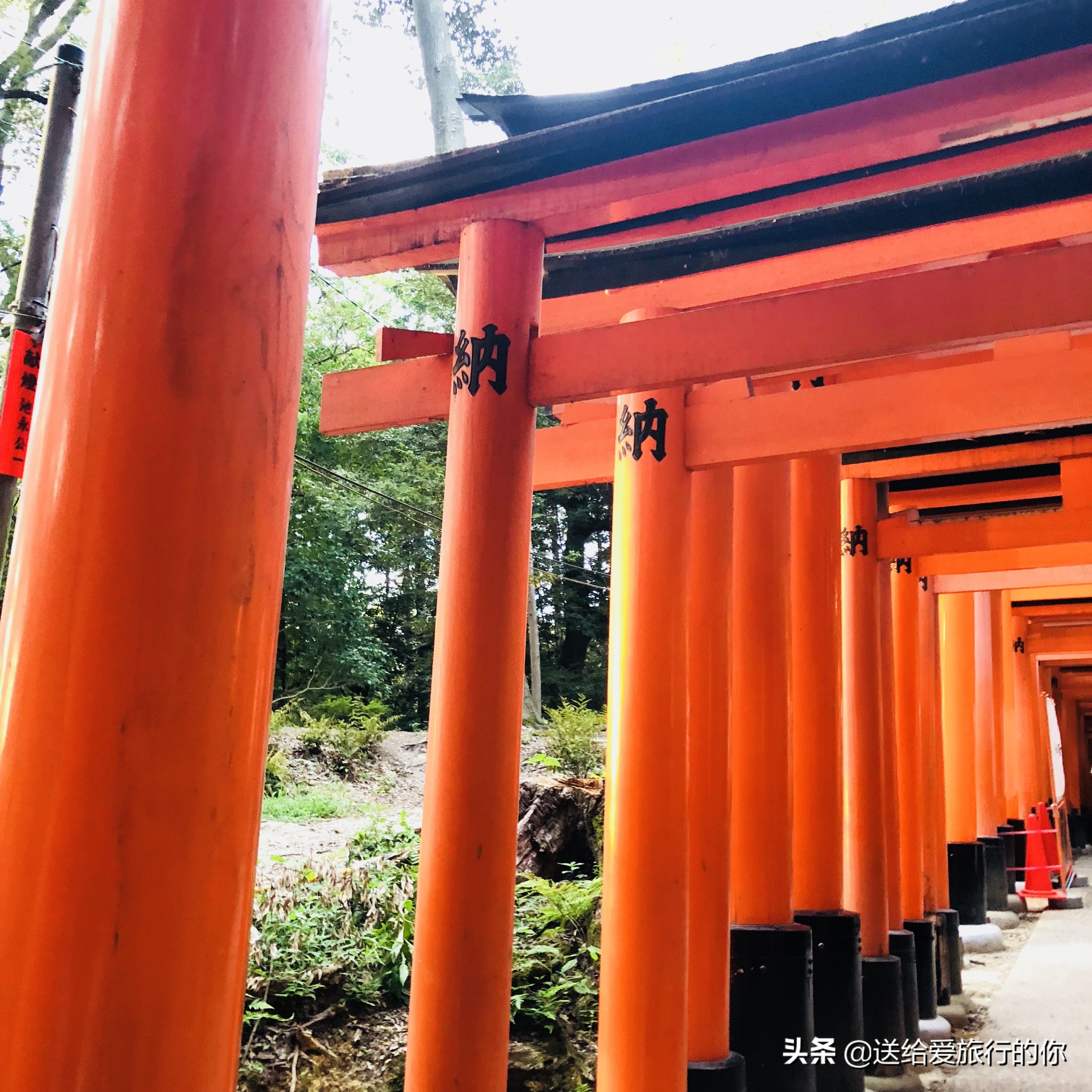 日本的旅游路线及行程计划,日本旅行路线攻略