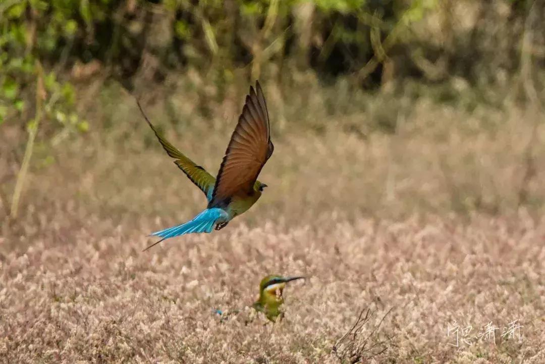 对焦最好的6种方法,视频对焦4分钟学会30种对焦策略