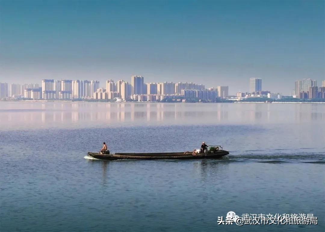 江夏面积多大,关于最美江夏的图片