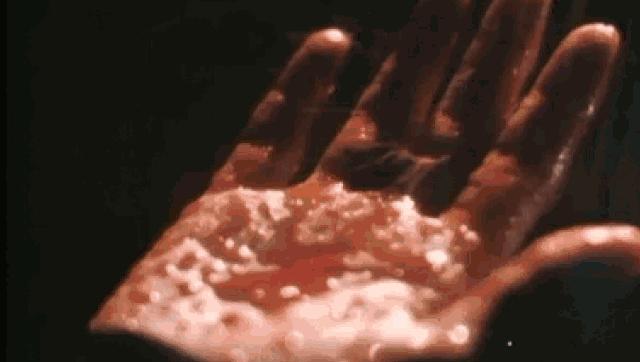 寰愬厠鍜屽瀛愭柦鍗楃敓鐖辨儏鏁呬簨,寰愬厠涓庡墠濡绘柦鍗楃敓