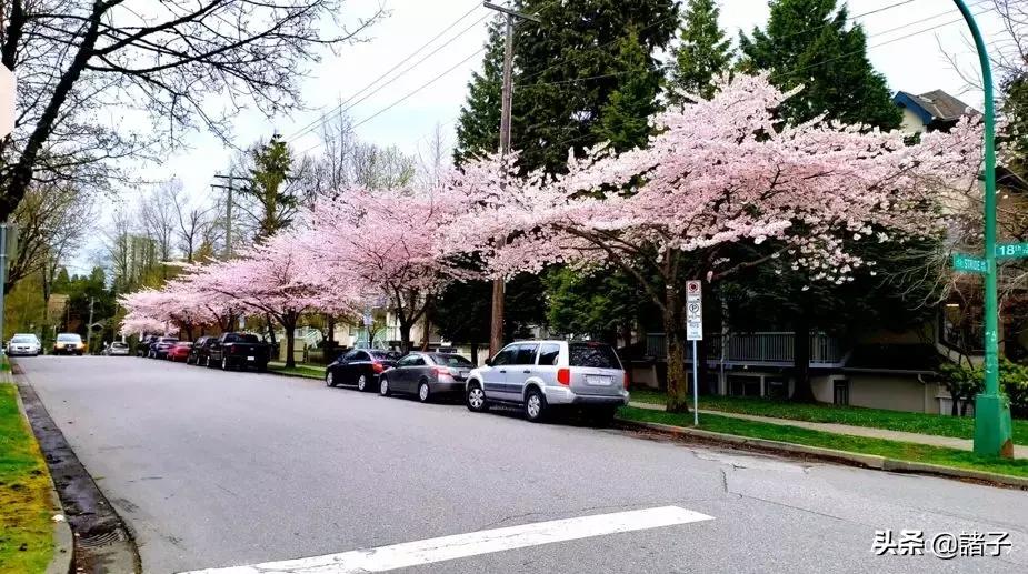 曾经的我怀揣梦想,曾经怀揣梦想满怀希望