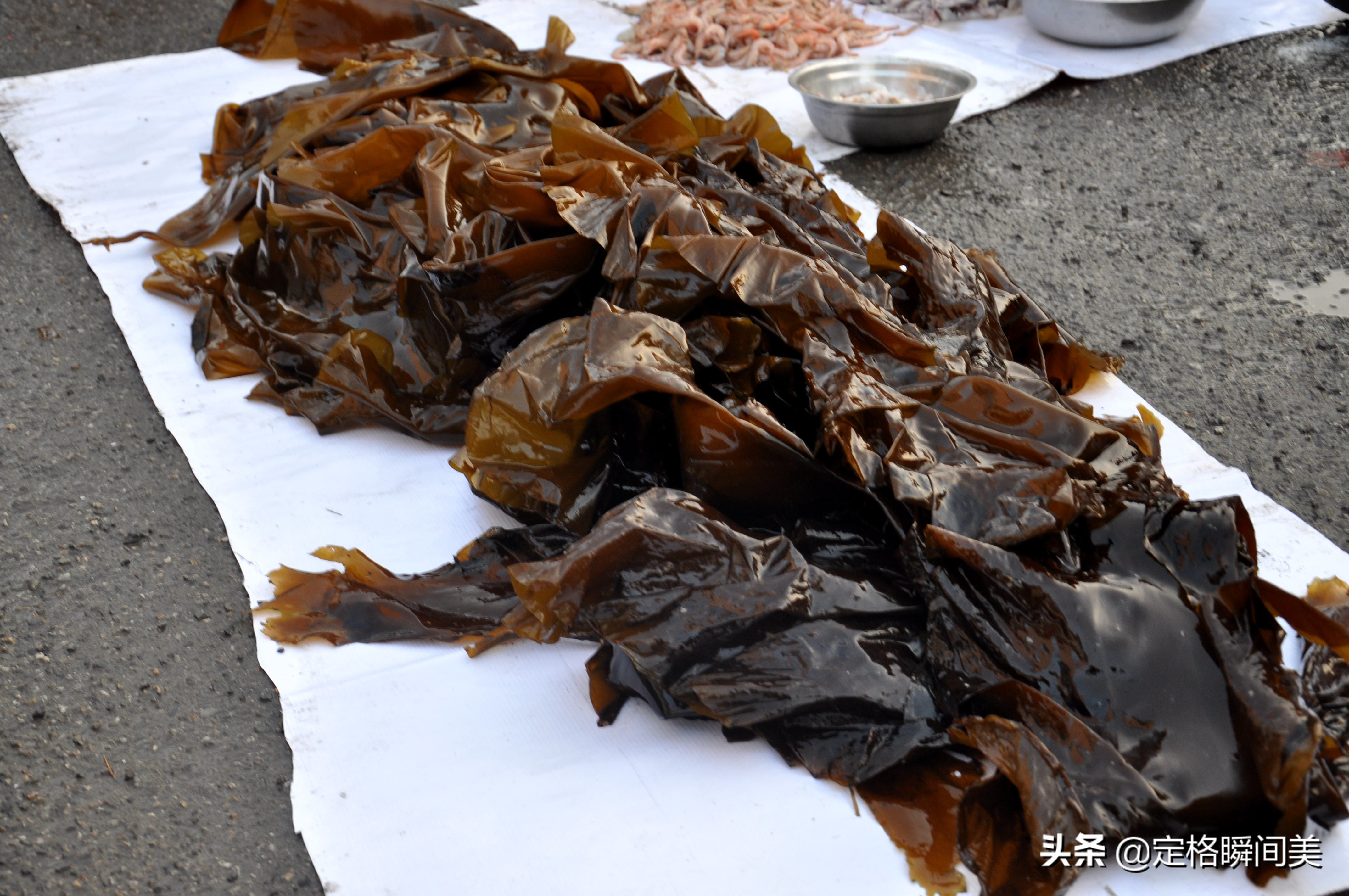 青岛批发市场海虾,青岛早市海虾