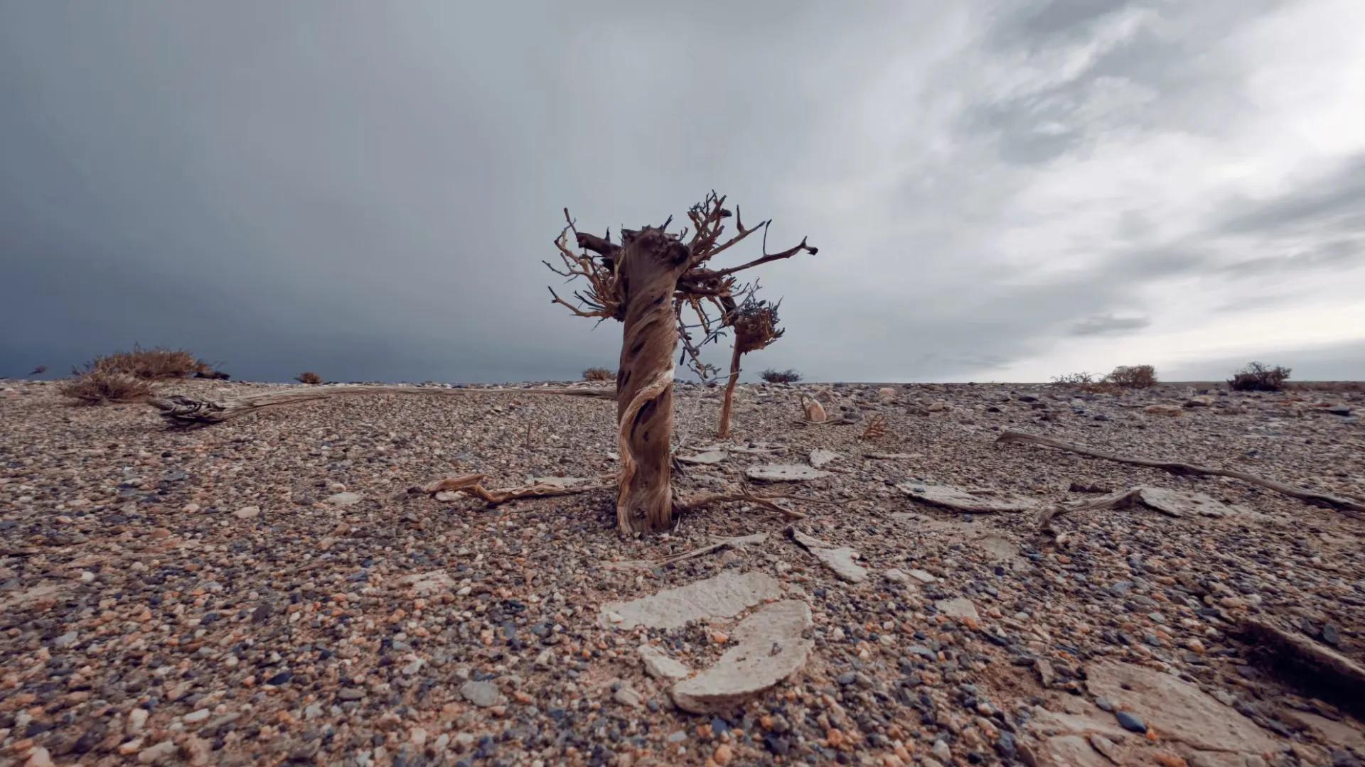 绗旀潵灏忚,绗旀潵