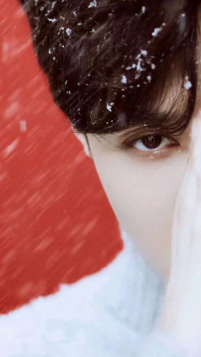 张艺兴手机壁纸苹果11,张艺兴大明风华高清壁纸