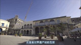 大家都在争抢猫爪杯？吸猫的最高境界，带着摄影机“猫步走天下”