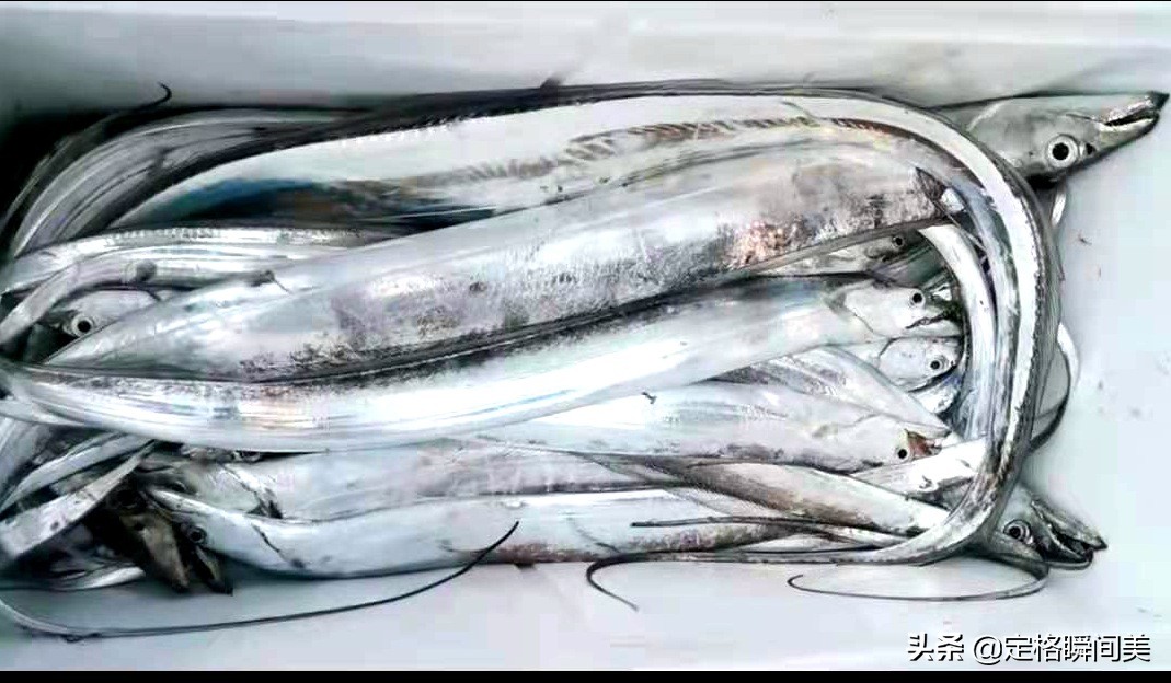 禁渔期青岛垂钓爱好者,青岛休渔期去哪里钓鱼