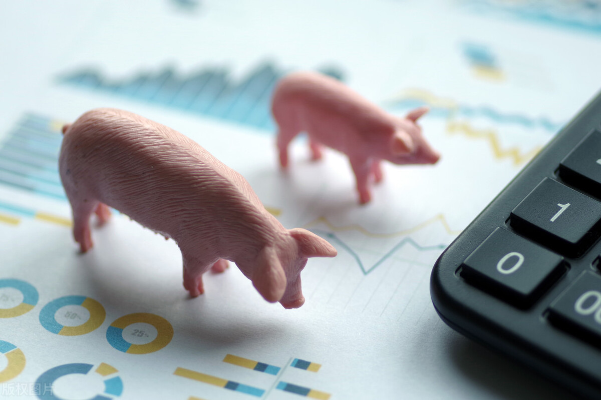 最新未来猪价走势分析,近三年猪价走势对比分析