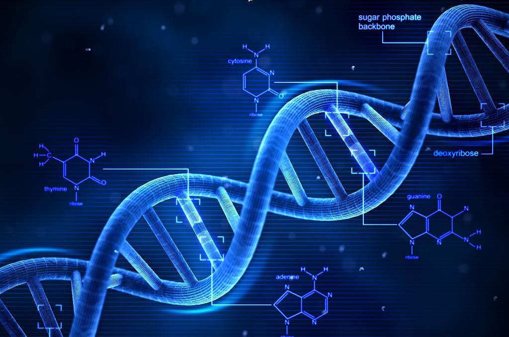 淋巴管肌瘤病患者,淋巴管肌瘤病是否有家族史