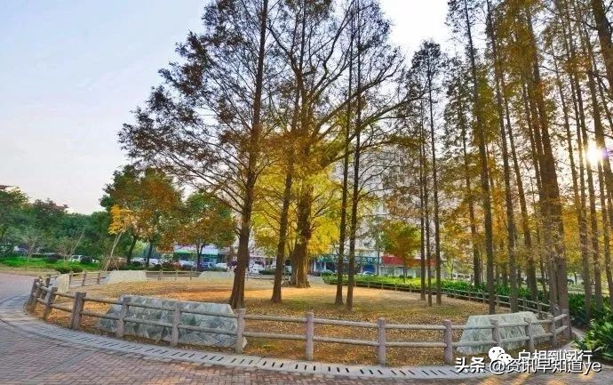 上海地铁5号线沿途景点,上海地铁8号线沿线景点攻略