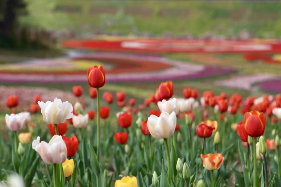 鍗佸牥51鍑鸿鏀荤暐,婀栧寳鍗佸牥鏃呮父鏀荤暐浜斾竴