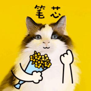 蔻驰和迪士尼联名包,蔻驰迪士尼联名包