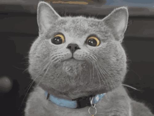 瀹犵埍鍥介檯鍔ㄧ墿璇婄枟涓績,瀹犵埍鍥介檯鍔ㄧ墿鍖婚櫌鍖椾含瑗跨珯