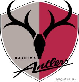 日联杯有几回合,日联杯为什么爆冷