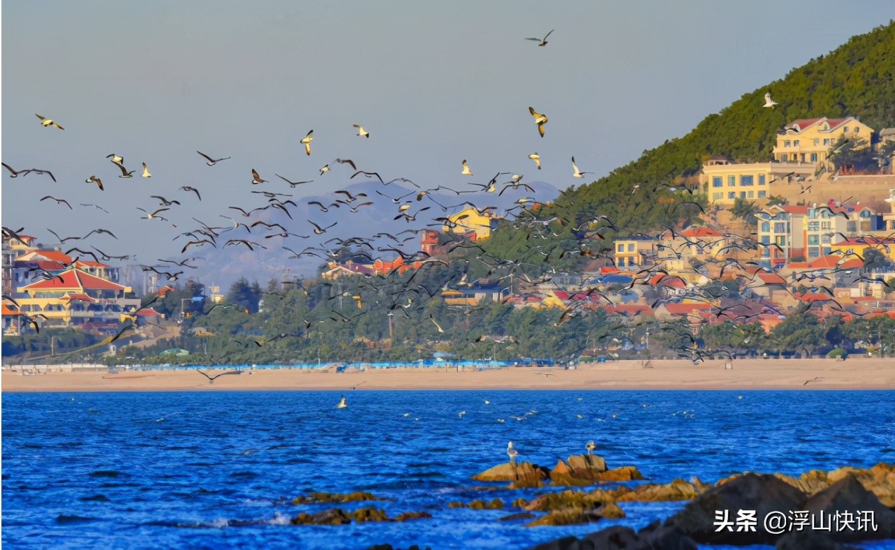 闲聊青岛房企：分手大师奥园的心思，你别猜