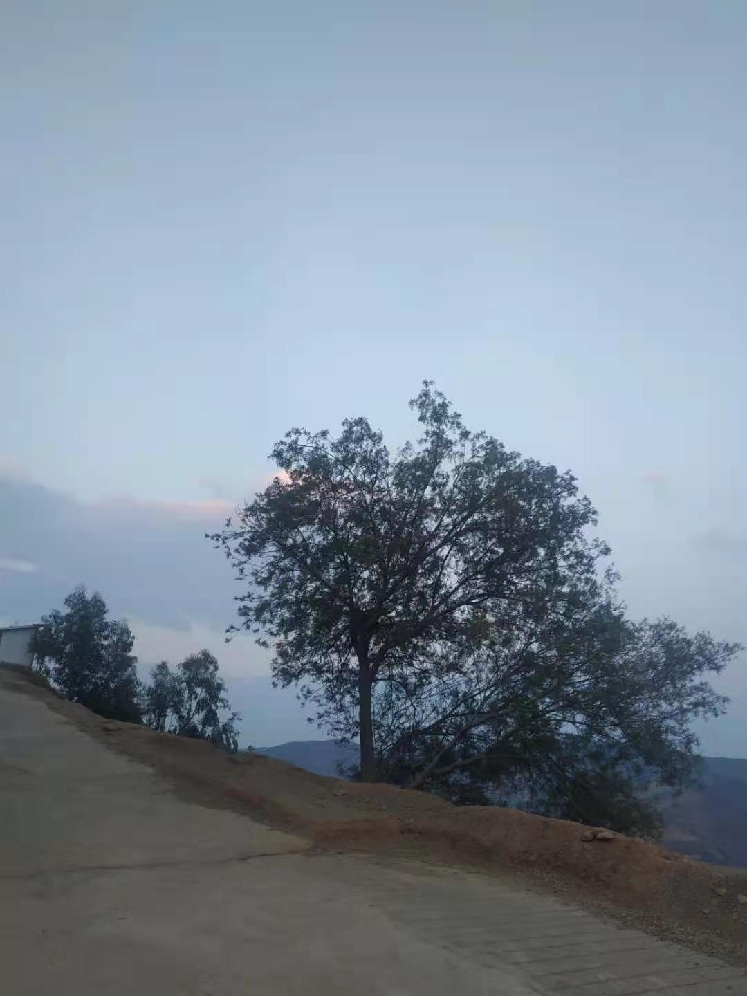 云南大理祥云天华山门票多少钱,大理祥云水目山旅游攻略