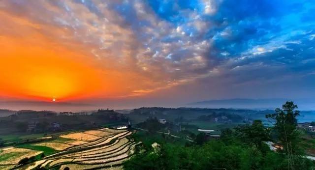 茶园和竹海生在一起会是什么样的美景？重庆永川茶山竹海给你答案