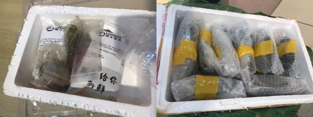 12毫米的淡水珍珠多少钱一颗,疯狂的黑珍珠