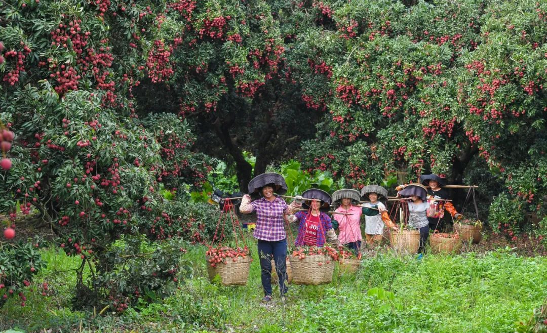 惠阳区名胜古迹,惠阳淡水八景