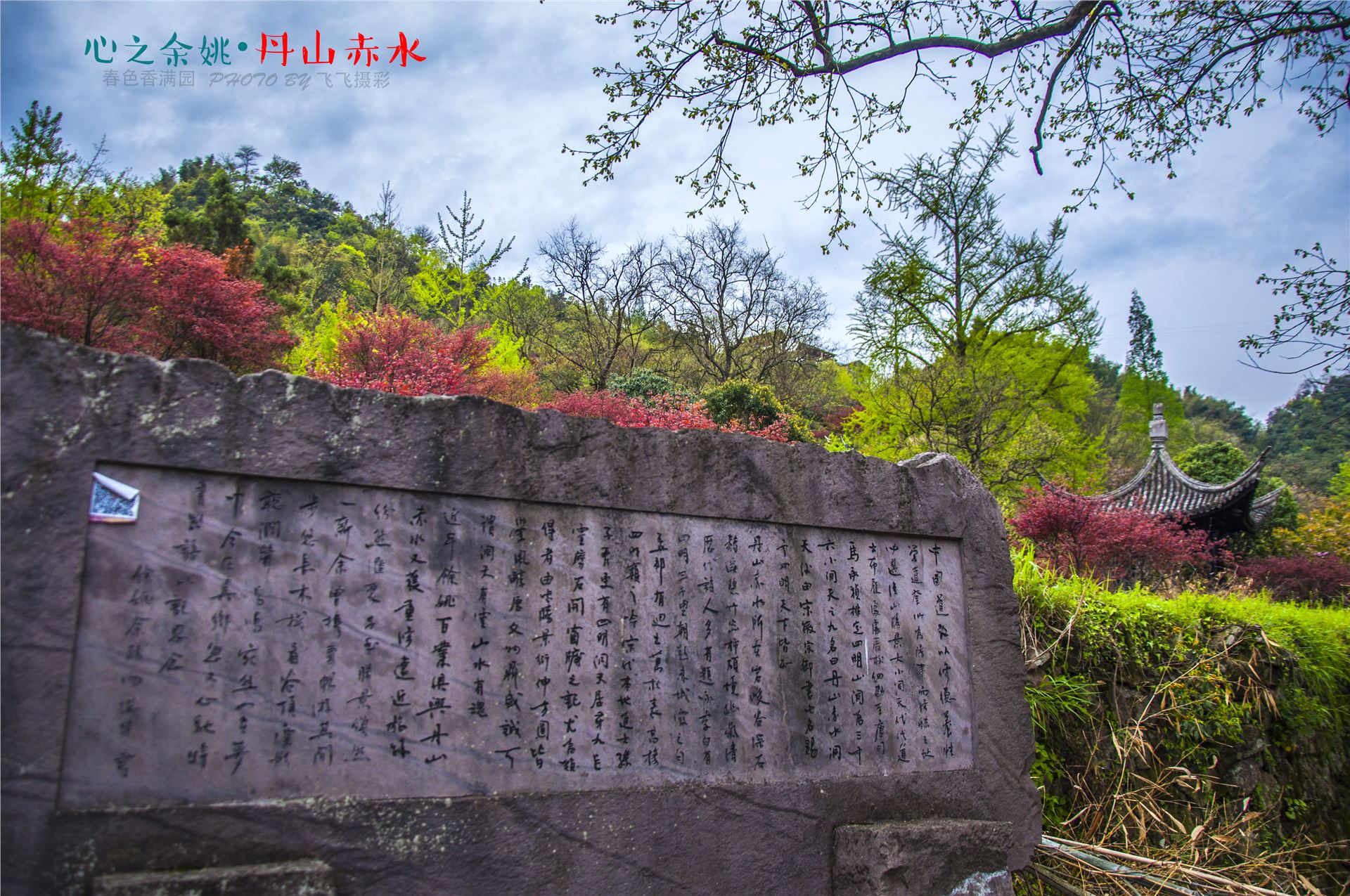 丹山赤水的老柿林景区,丹山赤水柿林古村