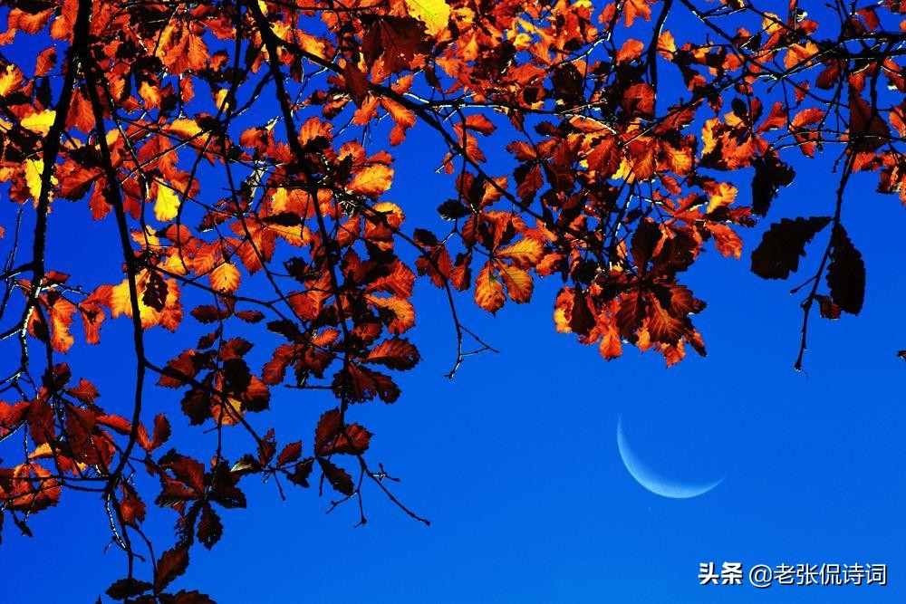 七绝描写月亮的古诗,春江花月夜里描写月亮的诗句