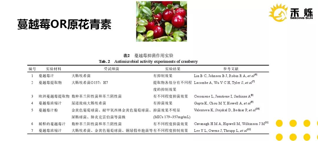 猫咪的泌尿处方粮有用吗,猫咪泌尿发炎用什么药