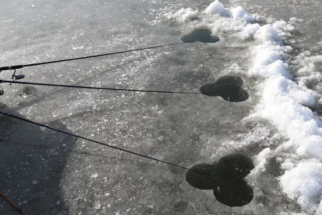 上州屋2019迎新春小西湖冰钓比赛圆满结束