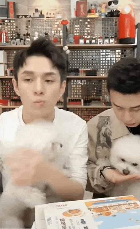 轩妈蛋黄酥李佳琦卖了多少,轩妈蛋黄酥李佳琦直播间卖多少钱