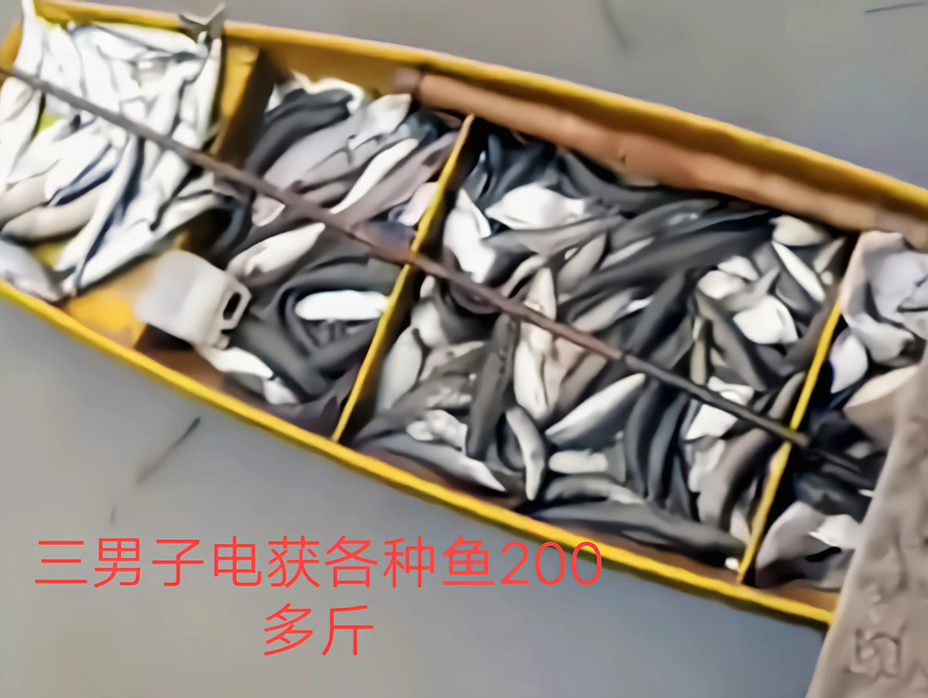 三男子非法电鱼南京,3名男子非法捕鱼600余斤