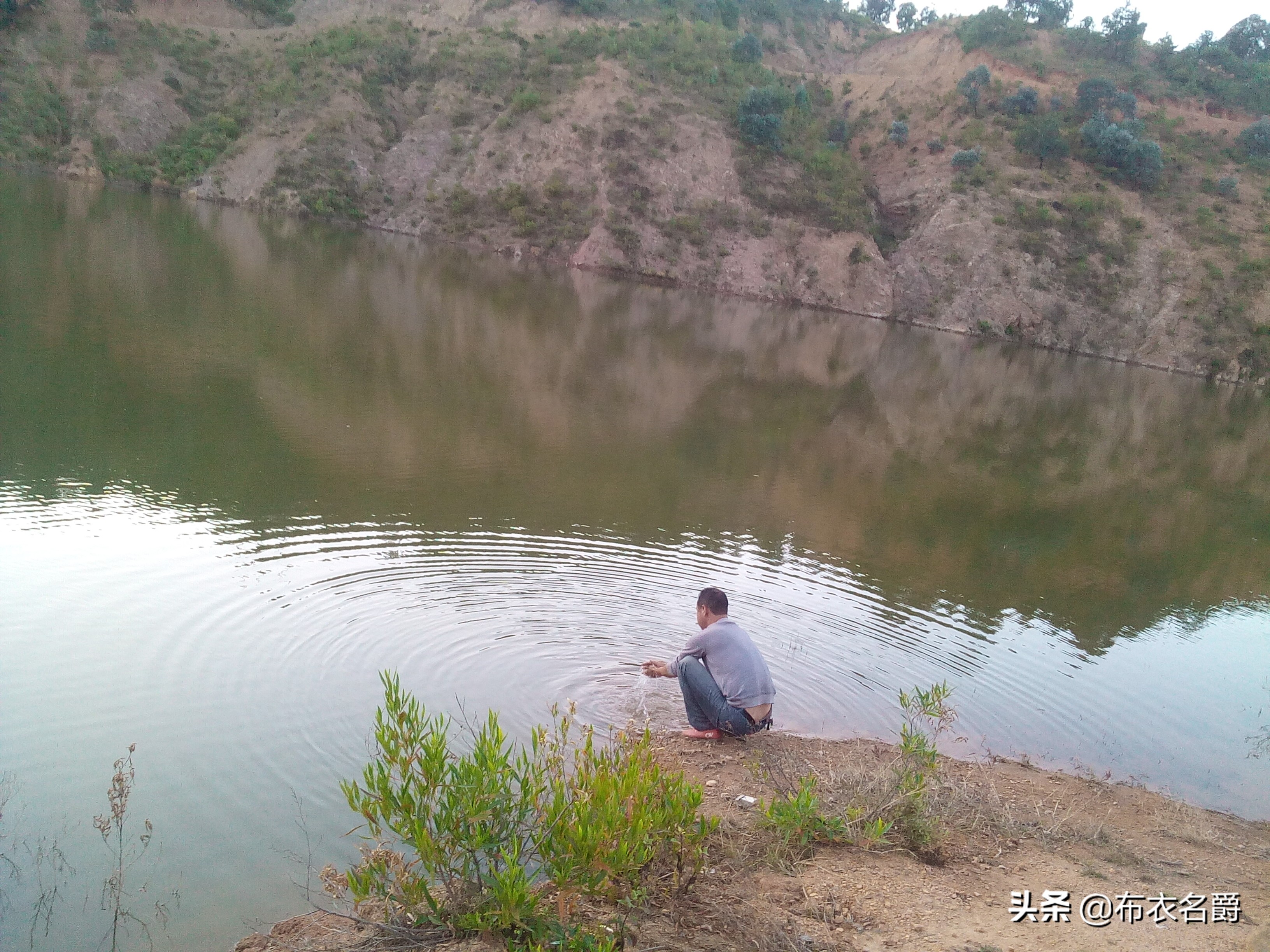 猪败血性链球菌的治疗处方,猪附红细胞体病最佳治疗