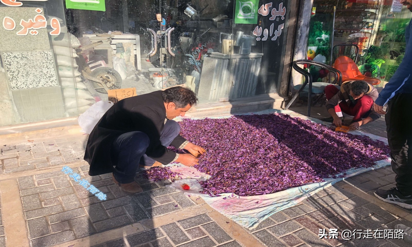 伊朗圣城旅视频,伊朗住宿一晚多少钱