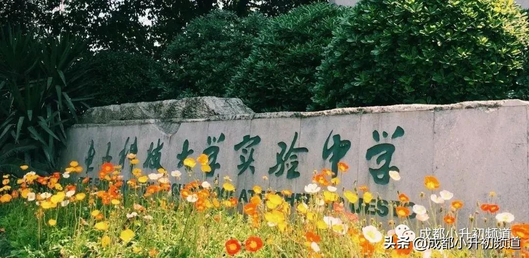 好消息！又一所热门公办中学开启一校三区模式？值得期待