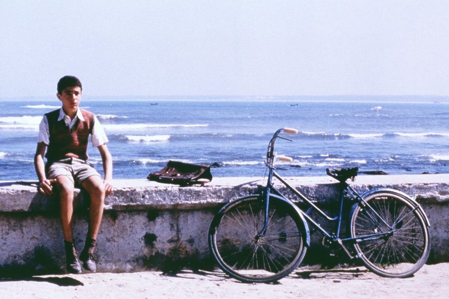 豆瓣评分8.8,《西西里的美丽传说》是人性的一面镜子