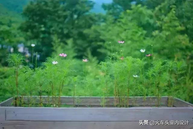 采菊东篱下悠然见南山全诗,采菊东篱下悠然见南山赏析