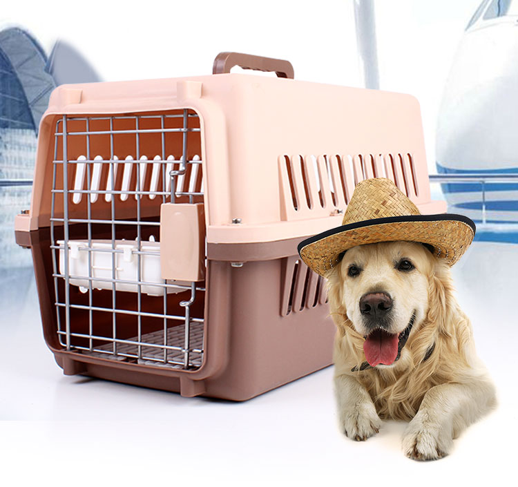 空运托运金毛,托运金毛导致托运金毛死亡