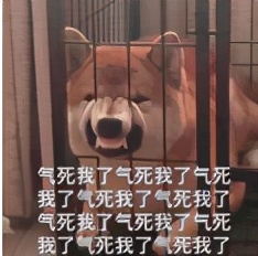 奇葩说陈铭被误解是表达者的宿命,奇葩说陈铭深度解析