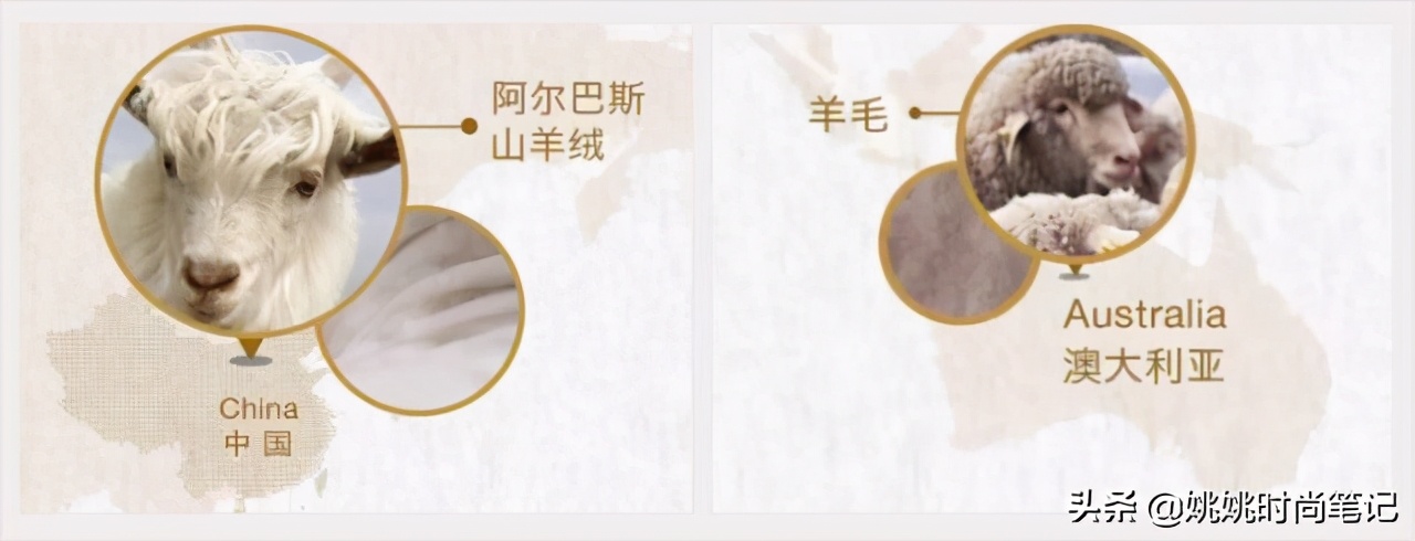 羊毛在羊身上出羊绒,羊毛出在羊身上案例